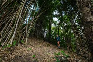 BIB: 
                            <button type="button" onclick="openModal(19395819)" class="btn btn-primary btn-sm float-right btn-popup" data-toggle="modal" data-target=".modal-high-quality">
                        <i class="fas fa-shopping-cart"></i> Add to Cart
                    </button>
                                            <button type="button" onclick="isThisMe(19395819, true)" class="btn btn-success btn-sm float-right btn-popup btn-isme hidden" data-toggle="tooltip" data-placement="bottom" title="นี่คือรูปของคุณใช่ไหม คลิกที่นี่เพื่อเอาเข้าอัลบั้ม">
                        <i class="fas fa-plus"></i> Add to album
                    </button>
                    <button type="button" onclick="isThisMe(19395819, false)" class="btn btn-warning btn-sm float-right btn-popup btn-isnotme hidden">
                        <i class="fas fa-ban"></i> Remove from album
                    </button>